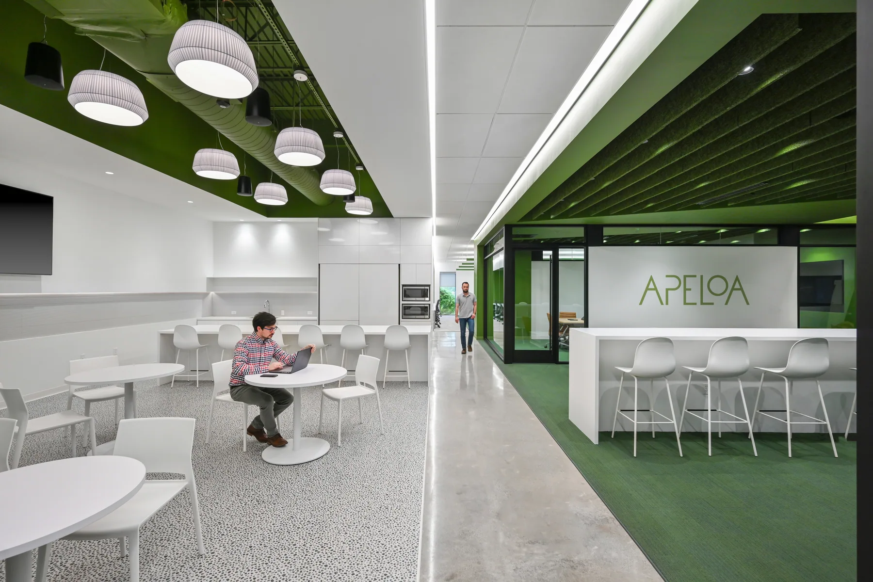 Apeloa project image from Currie Project Management